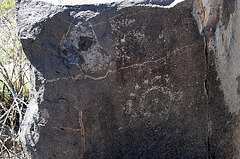 Three Rivers Petroglyphs (5918)