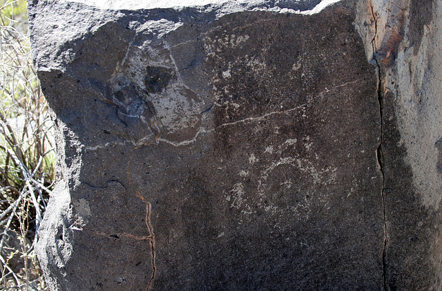 Three Rivers Petroglyphs (5918)