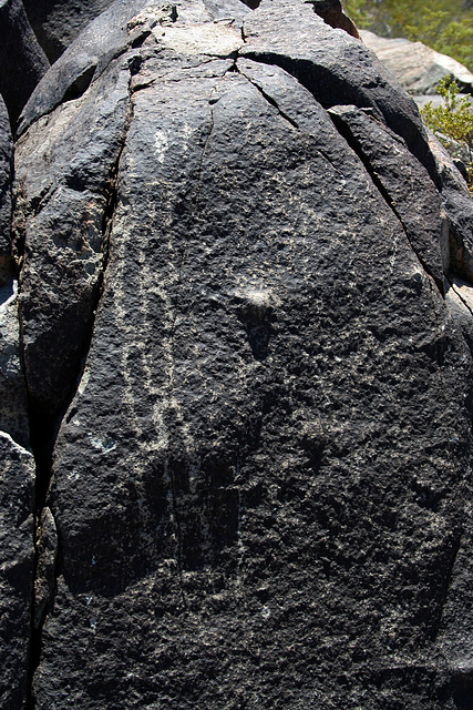 Three Rivers Petroglyphs (5919)