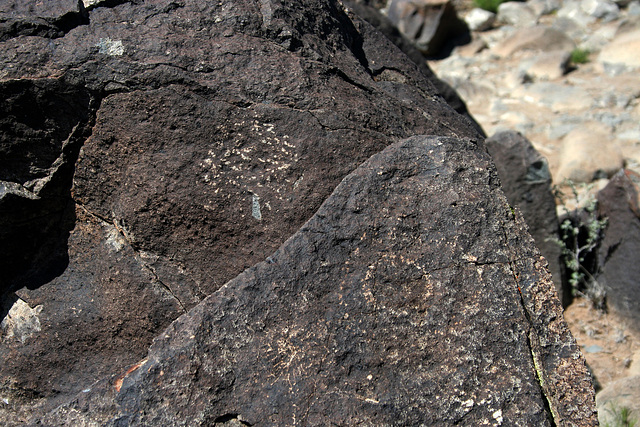Three Rivers Petroglyphs (5921)