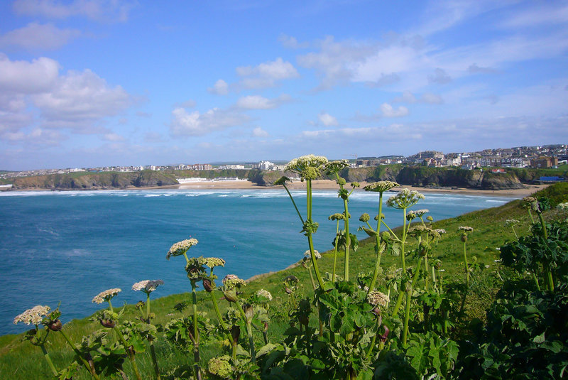 Newquay