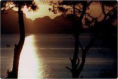 Depuis Halong vue sur la baie