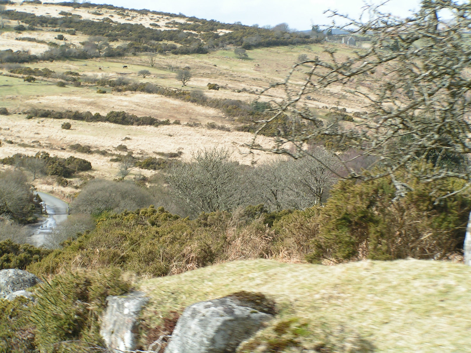 Dartmoor