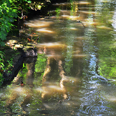 Jesmond Dene reflected in The Ouseburn