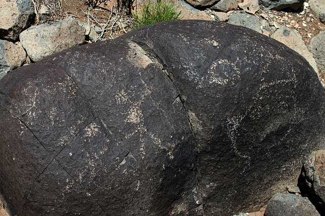 Three Rivers Petroglyphs (5926)