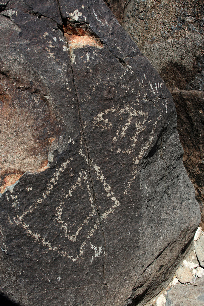 Three Rivers Petroglyphs (5928)