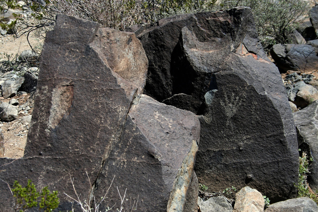 Three Rivers Petroglyphs (5930)