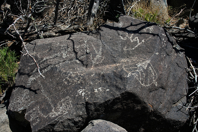 Three Rivers Petroglyphs (5940)