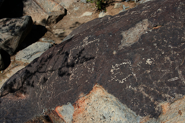 Three Rivers Petroglyphs (5943)