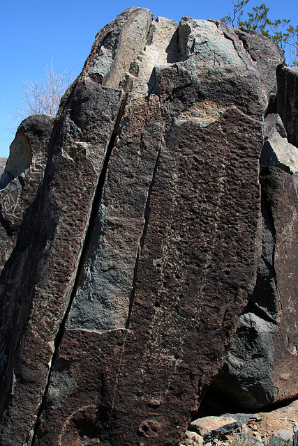 Three Rivers Petroglyphs (5945)