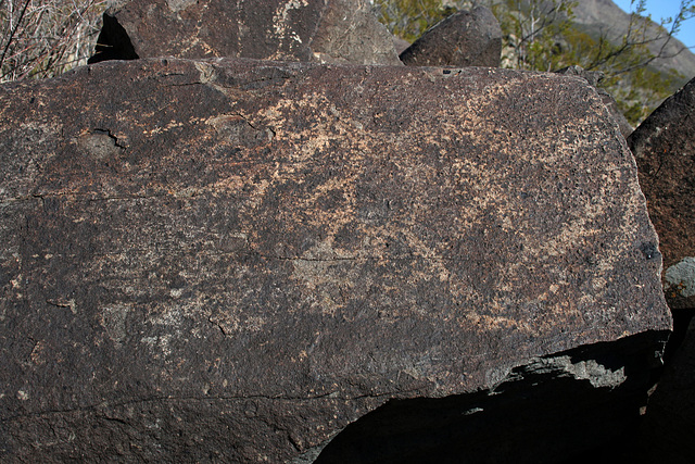 Three Rivers Petroglyphs (5946)