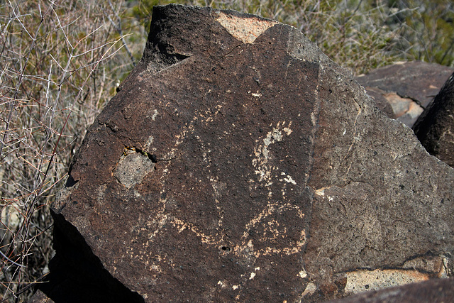 Three Rivers Petroglyphs (5947)
