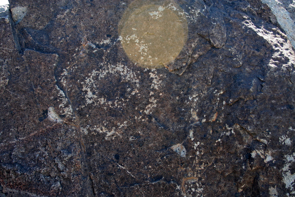 Three Rivers Petroglyphs (5948)