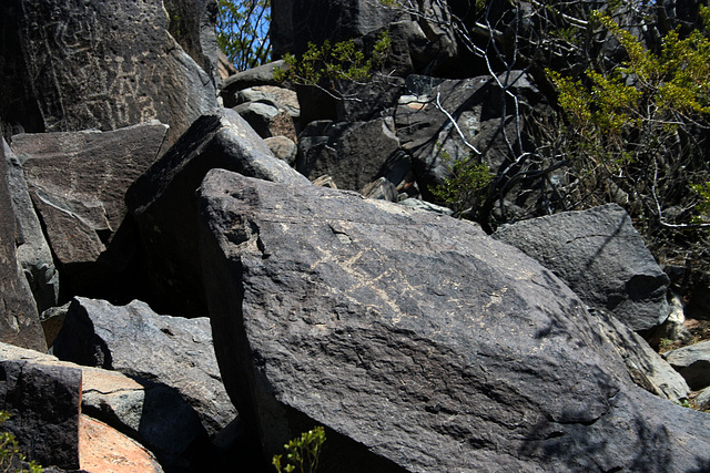 Three Rivers Petroglyphs (5950)