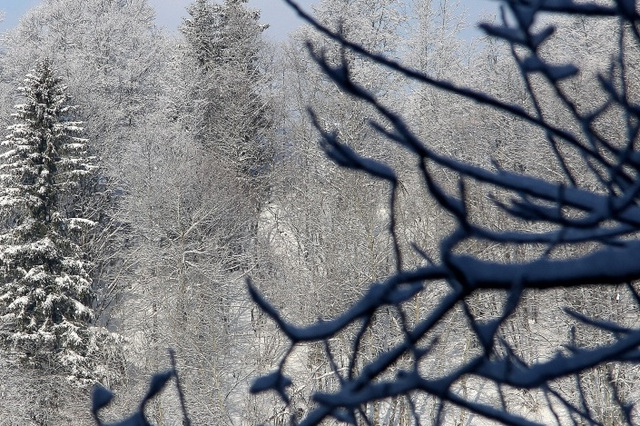 Paysage figé