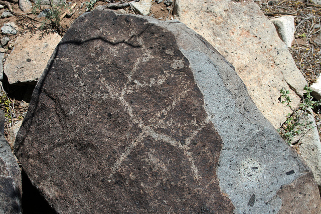 Three Rivers Petroglyphs (5951)