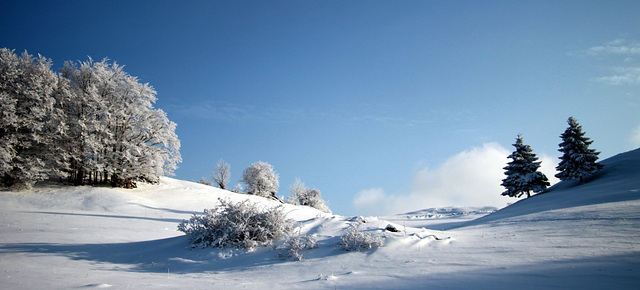 Paysage Lajoux (39)