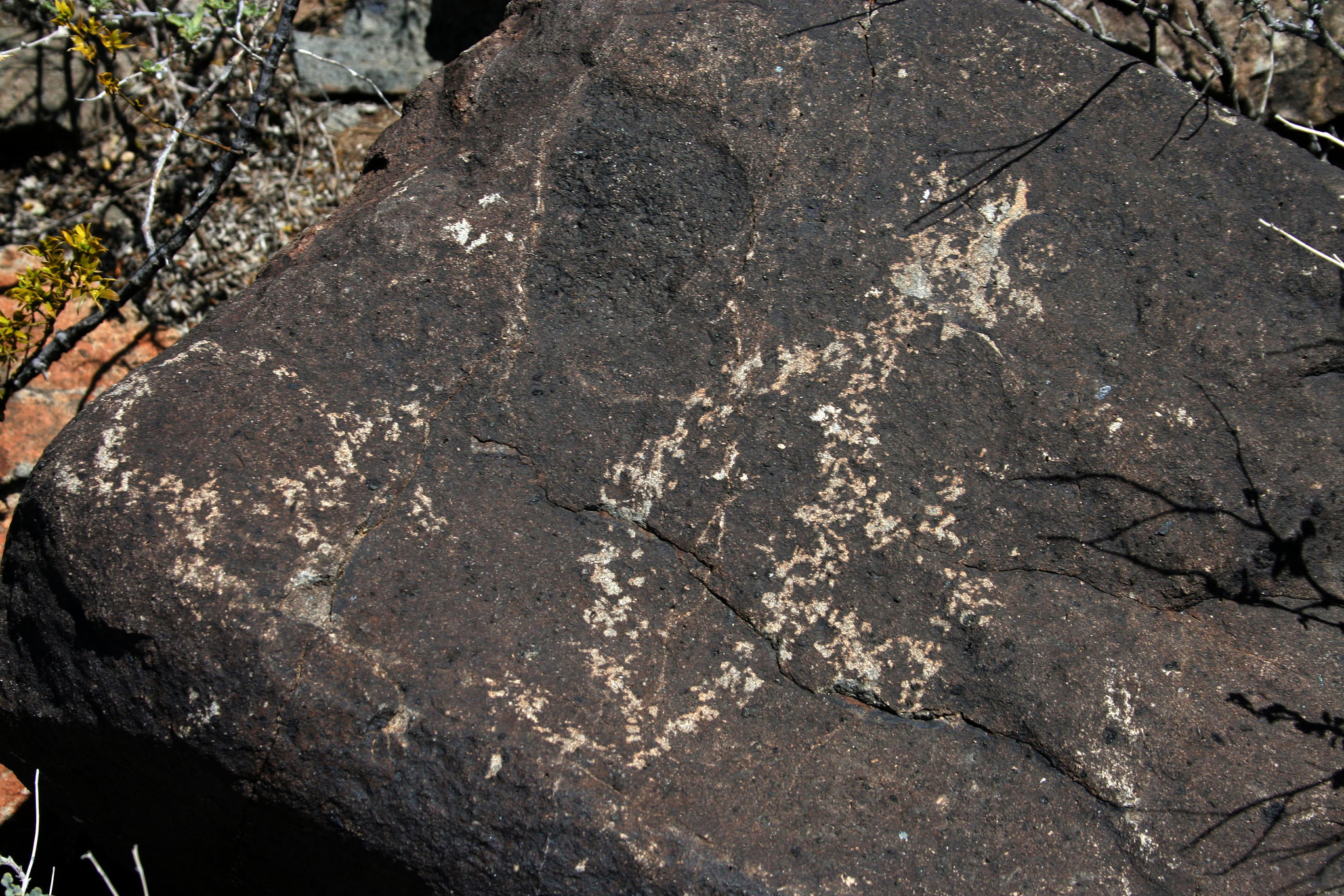 Three Rivers Petroglyphs (5953)