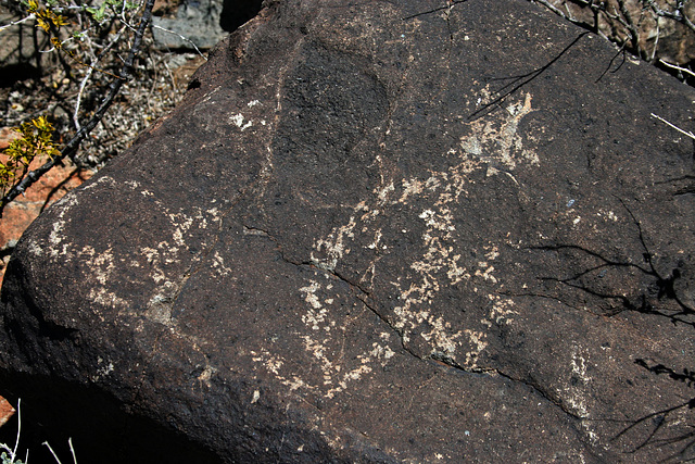Three Rivers Petroglyphs (5953)