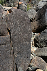 Three Rivers Petroglyphs (5954)