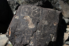 Three Rivers Petroglyphs (5955)