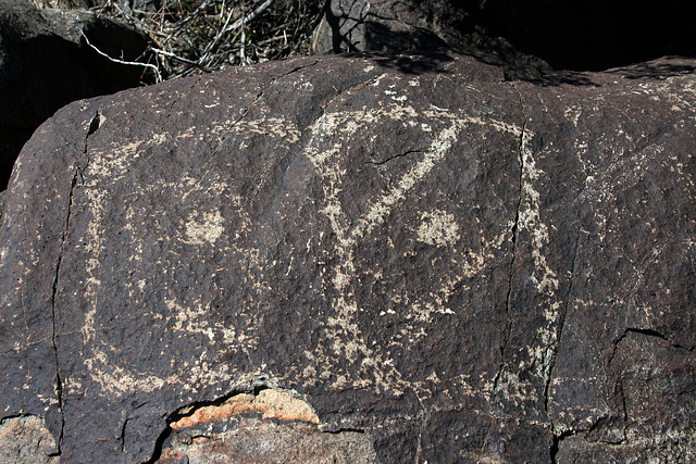 Three Rivers Petroglyphs (5956)