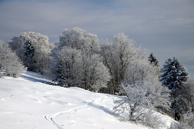 Jura sud