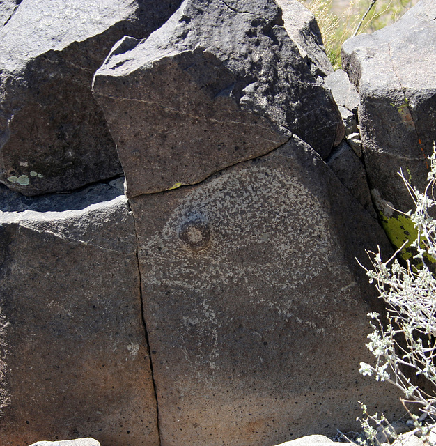 Three Rivers Petroglyphs (5957)