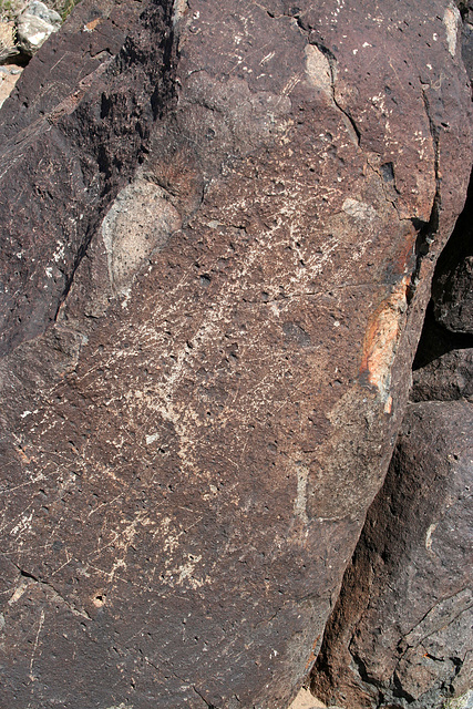 Three Rivers Petroglyphs (5958)