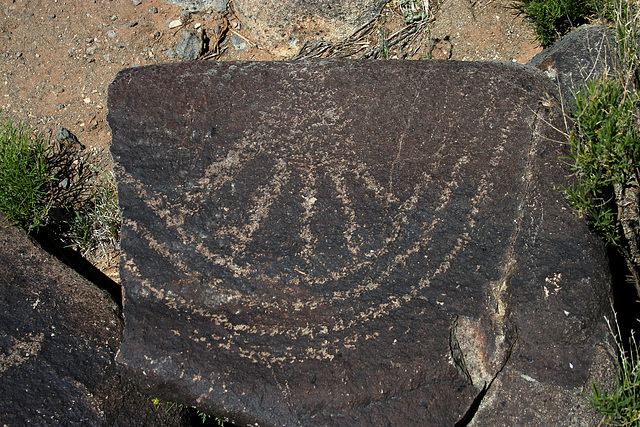 Three Rivers Petroglyphs (5960)