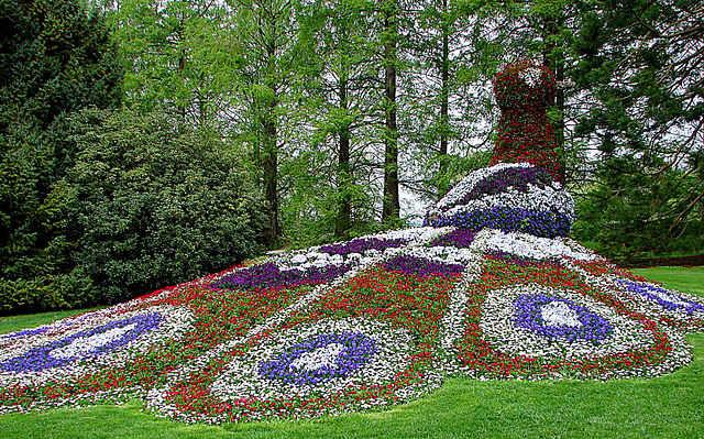 20070424 0155DSCw [D~KN] Insel Mainau Bodensee