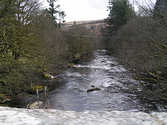 Dartmoor