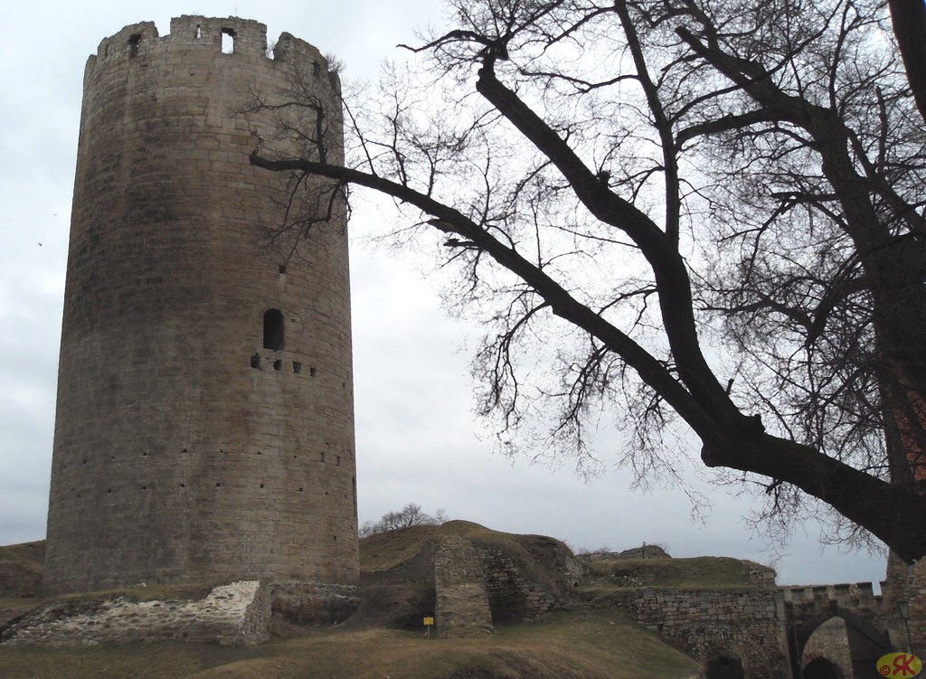 2010-03-01 13 Burg Querfurt