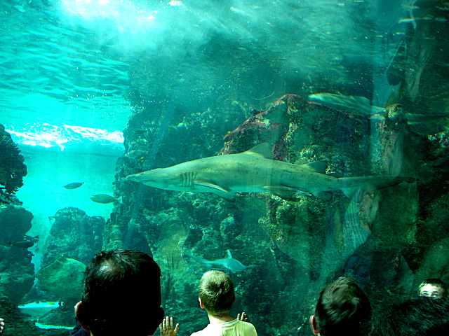 Aquarium Oceanopolis - Brest/Bretagne