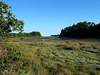 Ebbe - Marée basse -    Bretagne