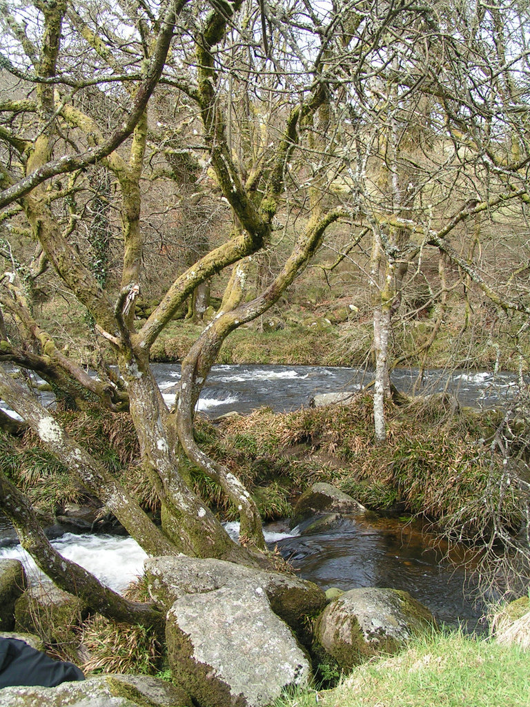Dartmoor