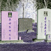 The Knowlton cemetery 1865 / Québec, CANADA -  28 mars 2010 - RVB négatif
