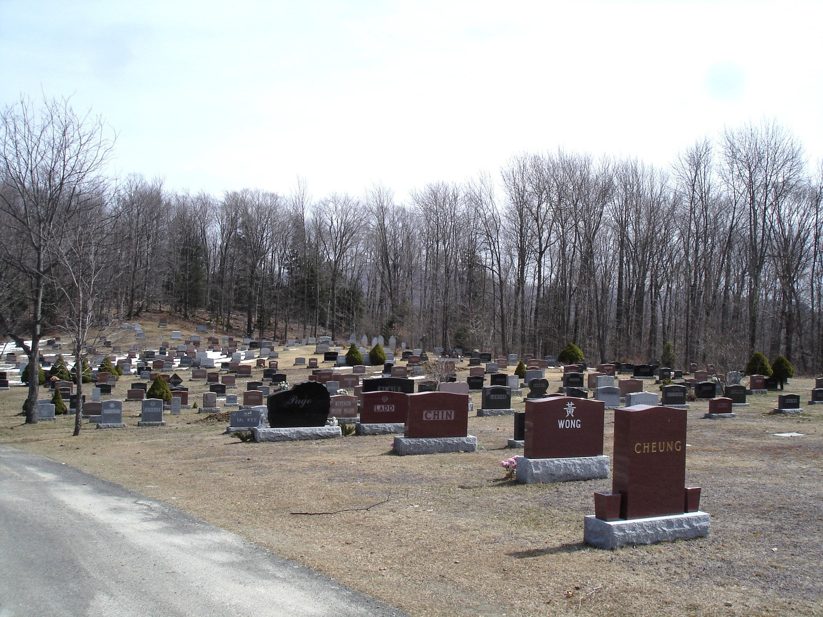 The Knowlton cemetery 1865 / Québec, CANADA -  28 mars 2010