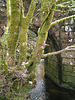 Dartmoor