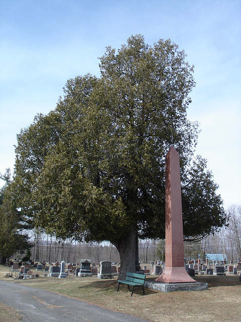 The Knowlton cemetery 1865 / Québec, CANADA -  28 mars 2010