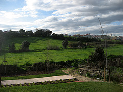 Benfica, a farm in the middle of the city (3)