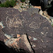 Three Rivers Petroglyphs (5965)