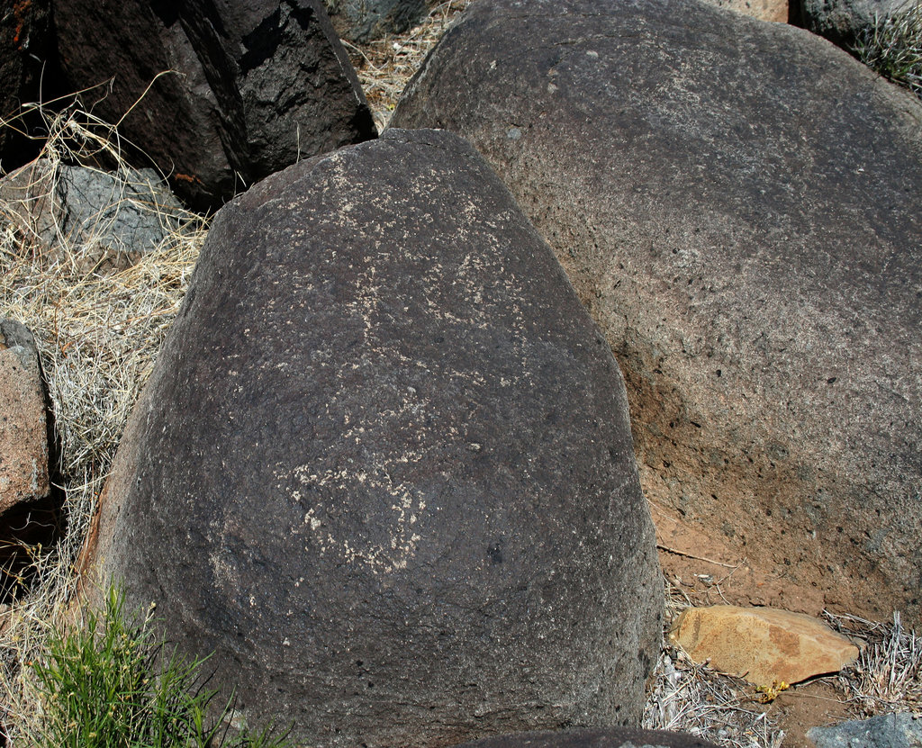 Three Rivers Petroglyphs (5972)