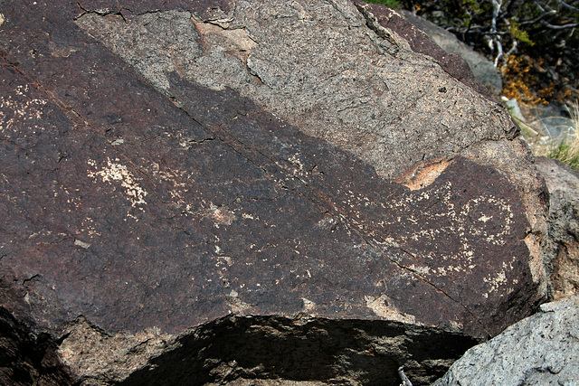Three Rivers Petroglyphs (5974)