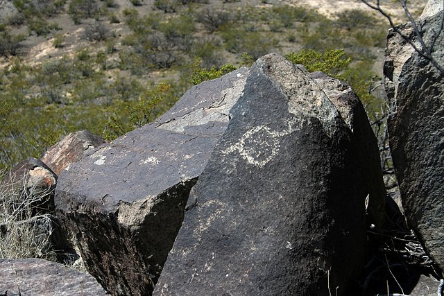 Three Rivers Petroglyphs (5975)