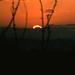 05 - Sunset in February 1992