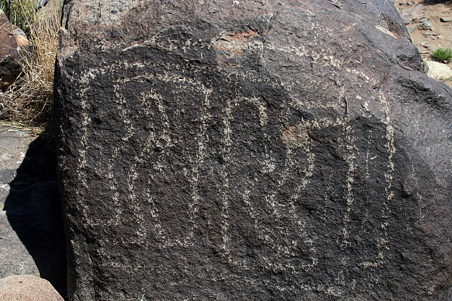 Three Rivers Petroglyphs (5976)