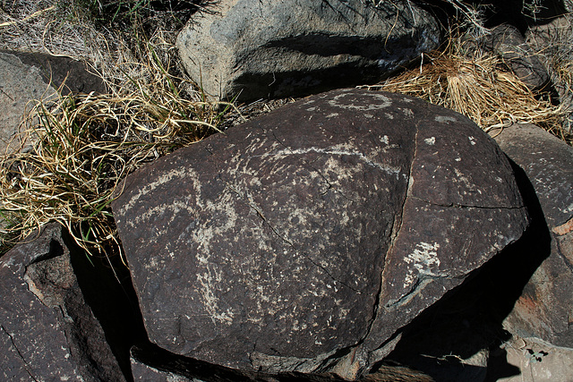Three Rivers Petroglyphs (5979)