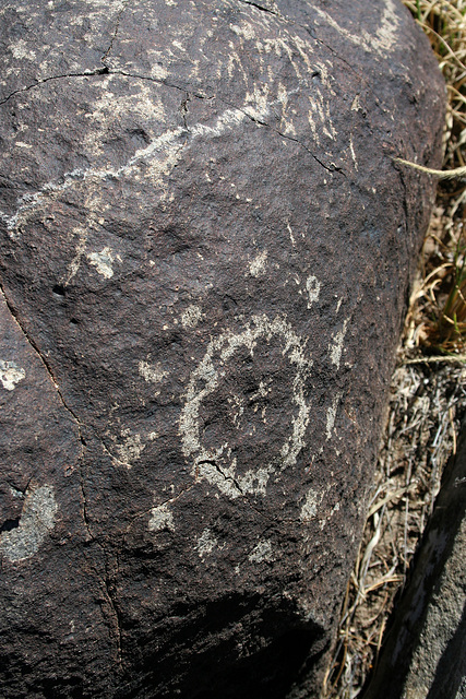 Three Rivers Petroglyphs (5980)