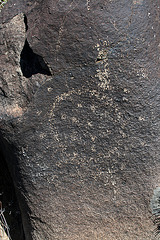 Three Rivers Petroglyphs (5981)
